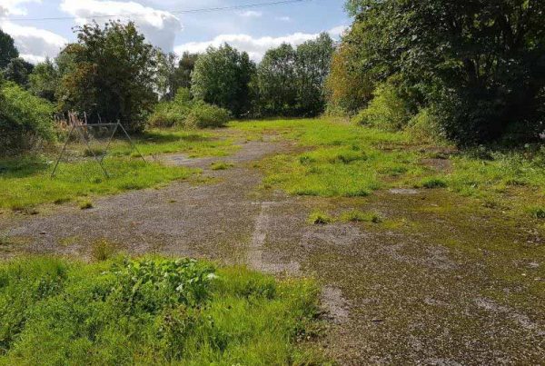 Use of car park as doggie day care (sui generis)