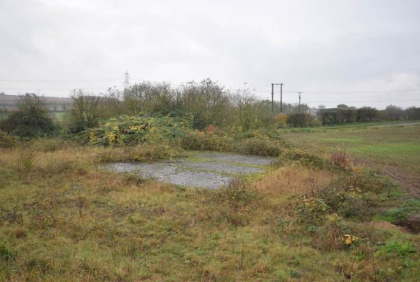 Extant permission Agricultural Dwelling