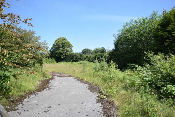 Existing Development of Four Dwellings LDC