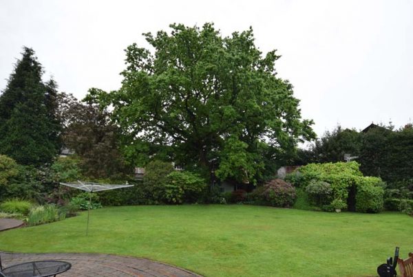 Development of single dwelling on a backland and garden plot