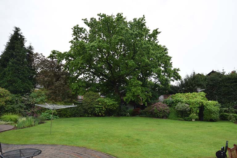 Development of single dwelling on a backland and garden plot